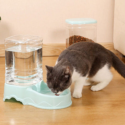 distributeur-de-croquettes-pour-chat-grande-taille-deguste