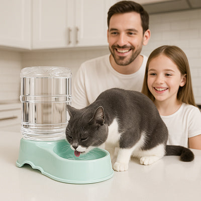 distributeur-de-croquettes-pour-chat-grande-taille-garcon-et-pere