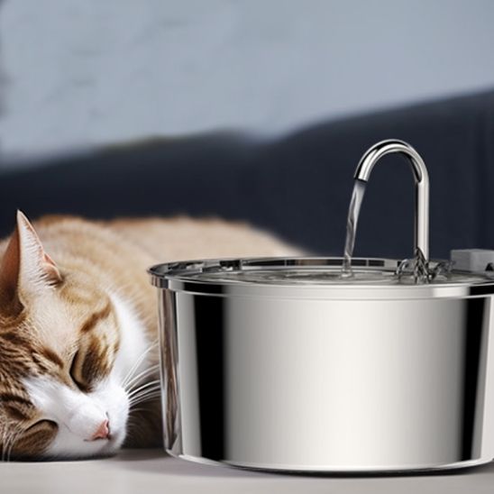 fontaine-a-eau-chat-avec-detecteur-de-mouvement-sommeil