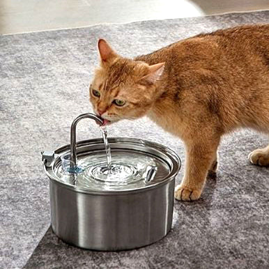 fontaine-a-eau-chat-capteur-coule-et-boit