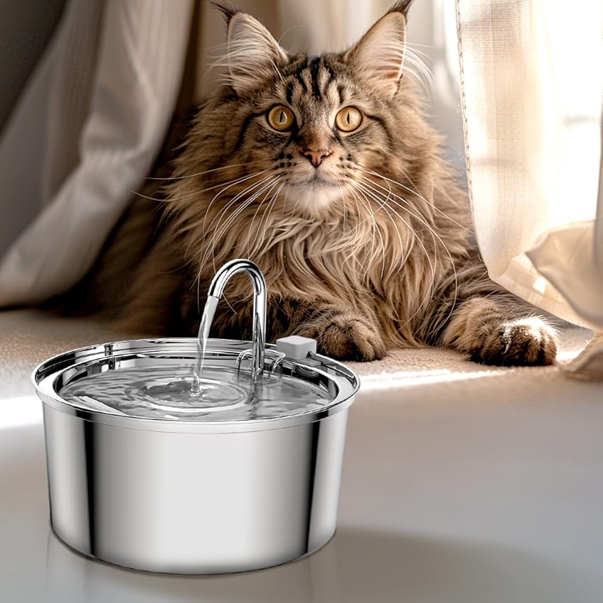 fontaine-a-eau-chat-capteur-fontaine
