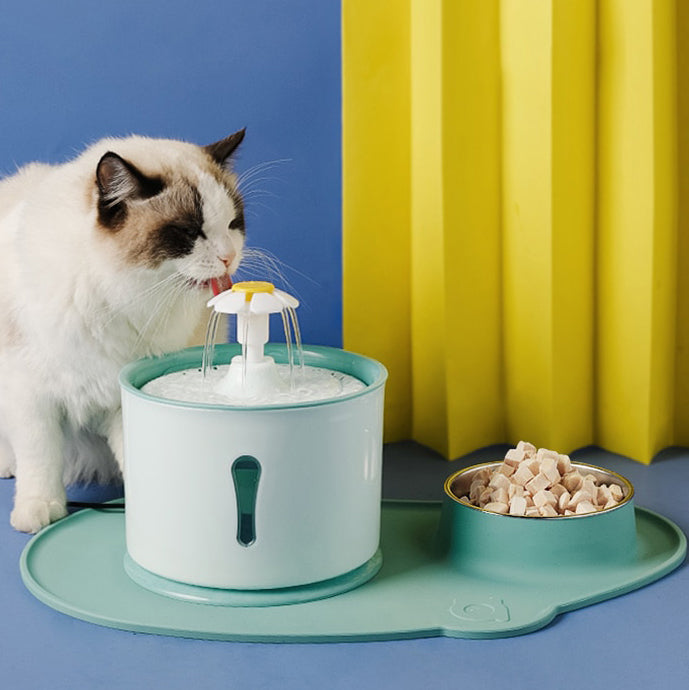 fontaine-a-eau-chat-marguerite-boit