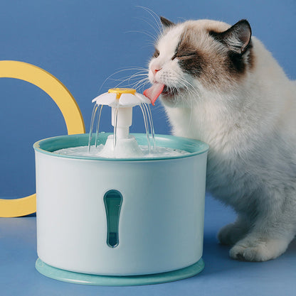 fontaine-a-eau-chat-marguerite-fraiche