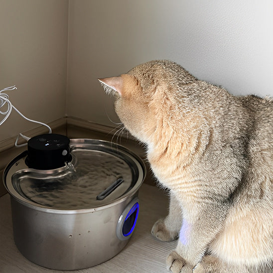 fontaine-a-eau-chat-sans-fil-coin