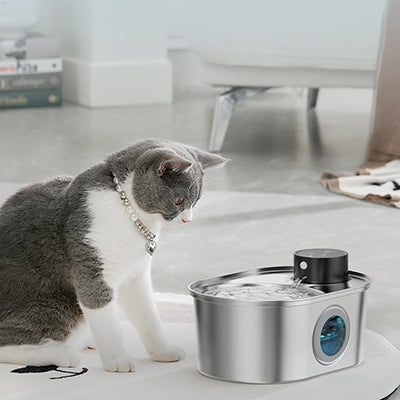 fontaine-a-eau-chat-sans-fil-hesite-a-boire