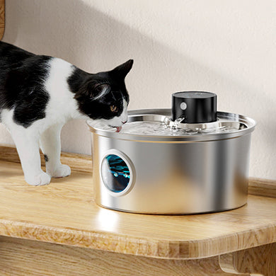 fontaine-a-eau-chat-sans-fil-meilleur-fontaine-a-pour-chat