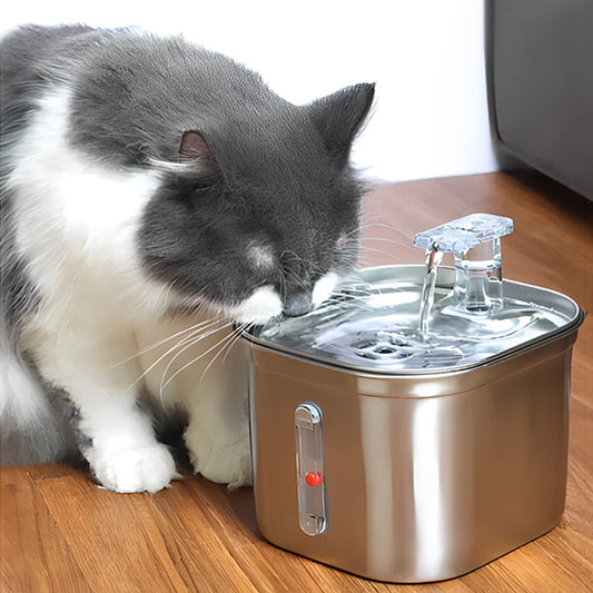 fontaine-a-eau-pour-chat-automatique-courbe