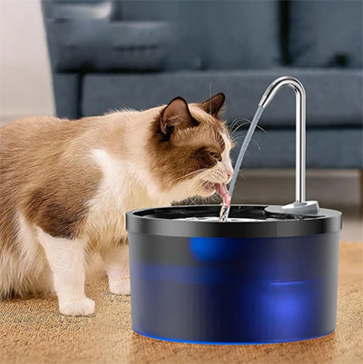 fontaine-a-eau-pour-chat-avec-detecteur-de-mouvement-boit