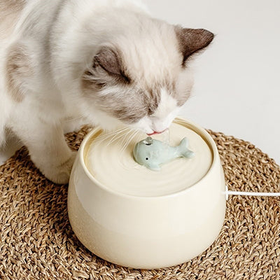 fontaine-a-eau-pour-chat-en-ceramique-couverture