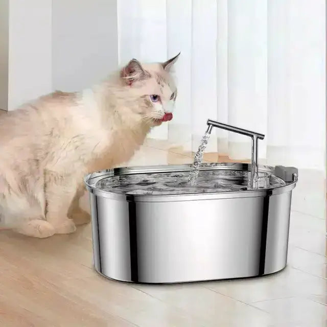 fontaine-a-eau-pour-chat-inoxydable