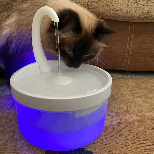 Fontaine à eau chat avec LED