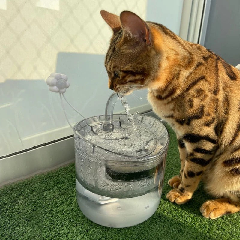 fontaine-eau-pour-chat-balcon