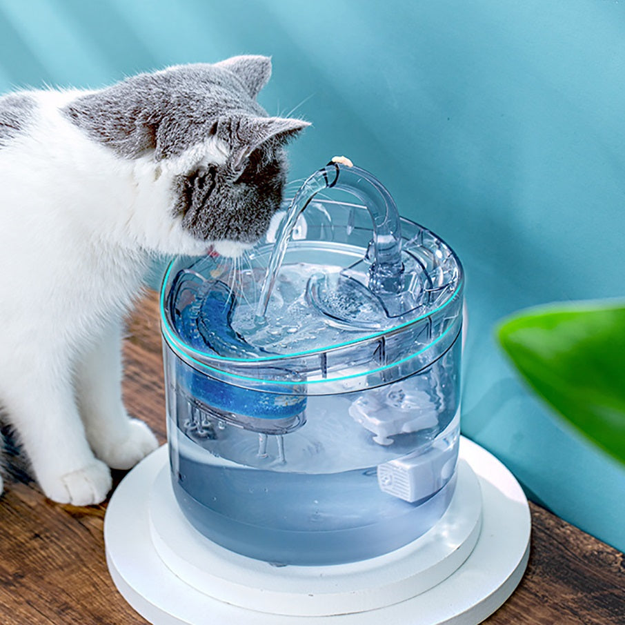 fontaine-eau-pour-chat-claire