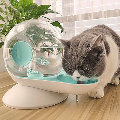 fontaine-eau-pour-chat-escargot-couverture