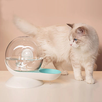 fontaine-eau-pour-chat-escargot-la-classe