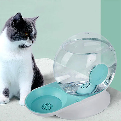 fontaine-eau-pour-chat-escargot-observe
