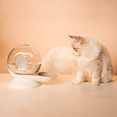 fontaine-eau-pour-chat-escargot-regarde-la-fontaine