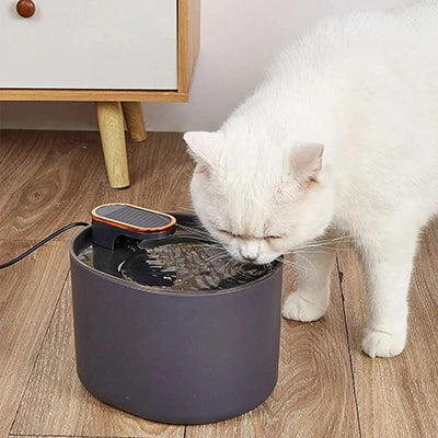 fontaine-eau-pour-chat-niveau-lumineux-accueil