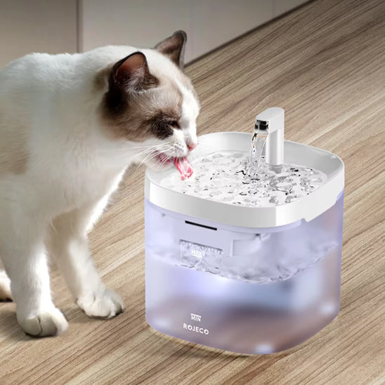 fontaine-eau-pour-chat-transparente-accueil