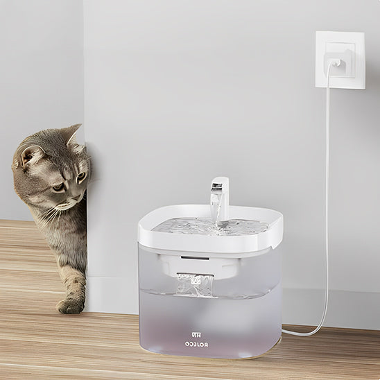 fontaine-eau-pour-chat-transparente-brancher