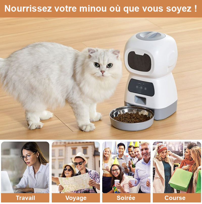 gamelle-automatique-chat-connecte-lieu