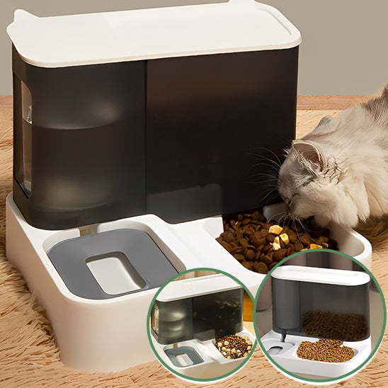 gamelle-automatique-chat-deguste