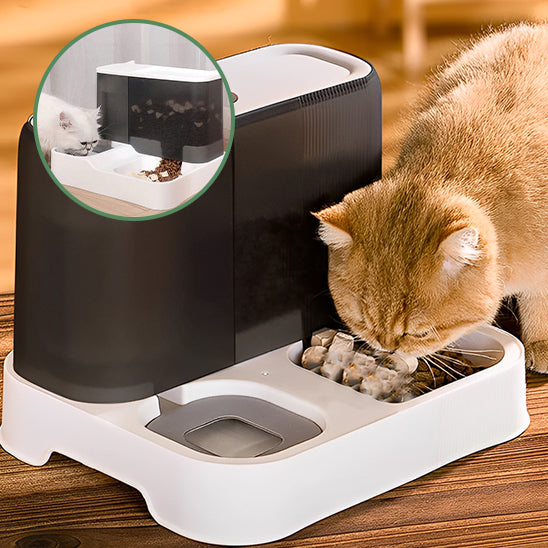 gamelle-automatique-chat-gouter