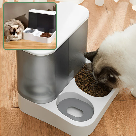 gamelle-automatique-chat-mange