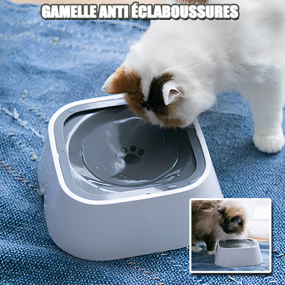 gamelle-chat-anti-eclaboussure-boit