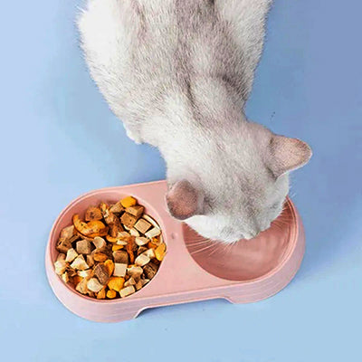 gamelle-chat-double-vu-de-dessus