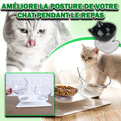 gamelle-chat-posture