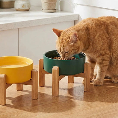 gamelle-chat-surelevee-deux-bols