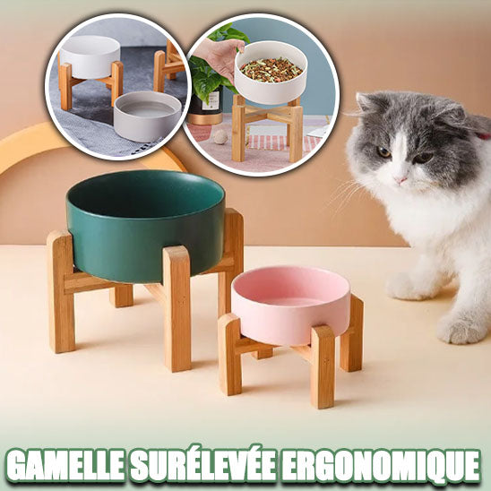 gamelle-chat-surelevee-ergonomique