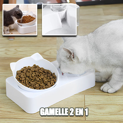 gamelle-chat-surelevee-one-manger