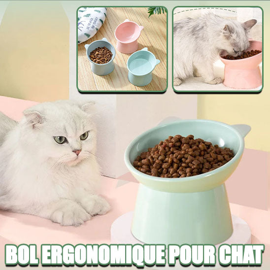 gamelle-chat-surelevee-un-ergonomique