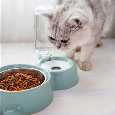 gamelle-pour-chat-avance-avec-prudence