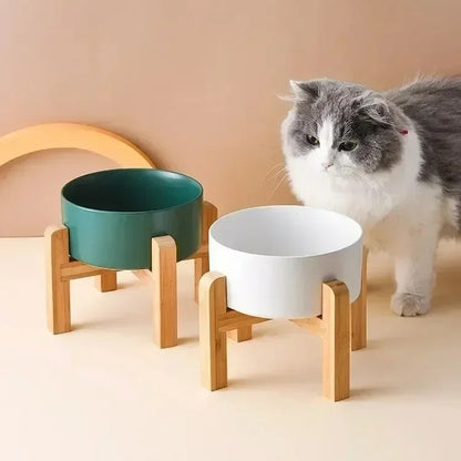 gamelle-pour-chat-eleve-regard