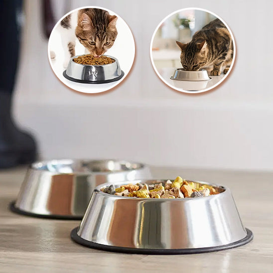 gamelle-pour-chat-inox-design