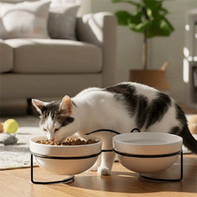 gamelle_chat_surelevee_double_bols_chat_qui_mange