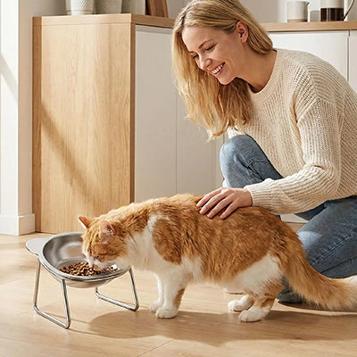 Gamelle inclinée pour chat | Ergonomique Tête Haute