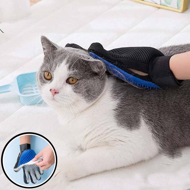 gant-brosse-chat-doux