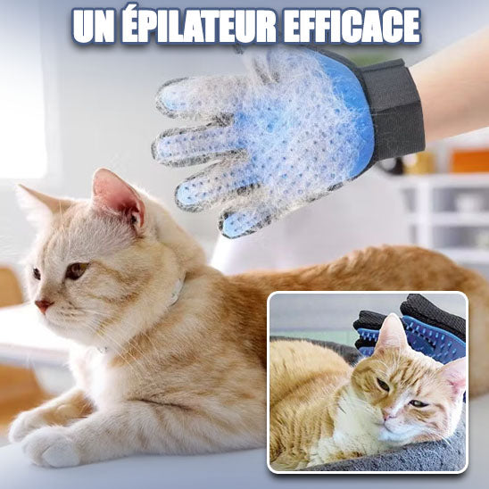 gant-brosse-chat-epilateur