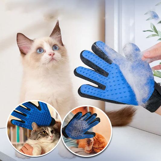 gant-brosse-chat-surpris