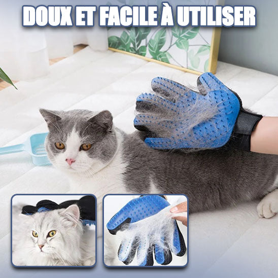 gant-brosse-chat-utile