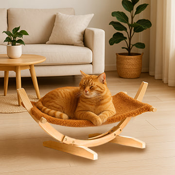 hamac-a-chat-espace-detente-dans-salon
