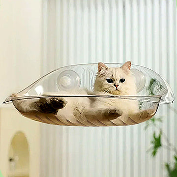 hamac-a-chat-polyvalent-accueil