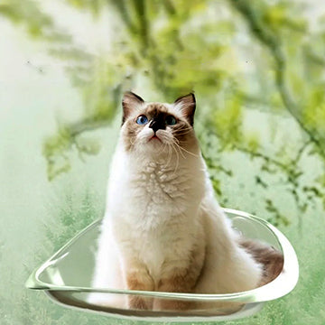 hamac-a-chat-polyvalent-assis