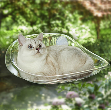 hamac-a-chat-polyvalent-chat-confort