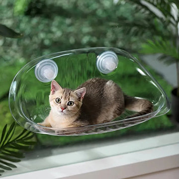 hamac-a-chat-polyvalent-chaton