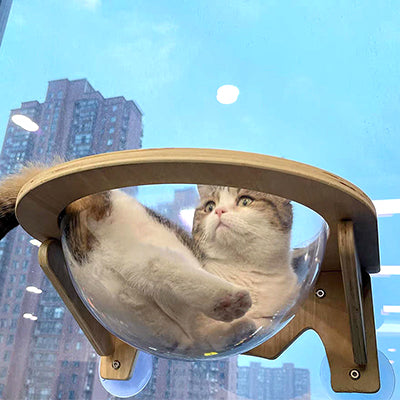 hamac-chat-capsule-allonger-au-ciel